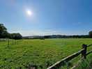 View towards the fields of sheep.
