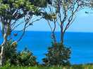 View from campervan wow