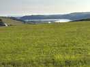 Site