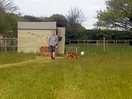 Mum collecting the eggs