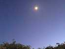 Night sky stunning