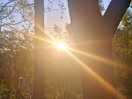 Sun set