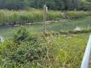 Canal nearby