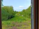 Room with a view