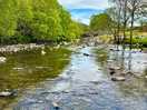 Local river
