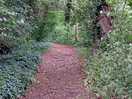 Walk