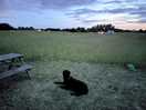 Campsite at night
