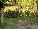 The lake