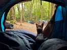 Even the dog enjoyed the veiw