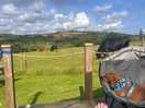 Dougie enjoying the view too