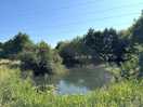 Pond