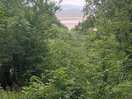 View of the estuary from the campsite