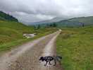 West highland way