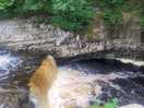 River ribble located 10 mins walk from campsite