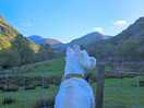Dog friendly site. here's our westie enjoying the view down the valley.