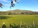 Taken just outside the campsite, but this shows the gentle, rolling hill landscape