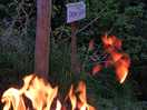 Camp fire on don don pitch