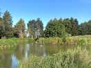 Fishing pond on site