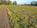 Walk nearby