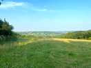 Top field