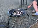 Fire pits/ bbqs allowed
