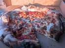 Stone baked pizzas made on site on the saturday