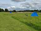Campsite