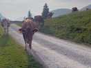 Friendly locals
