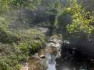 Down near the falling floss waterfall