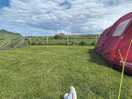 The site