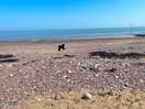 Minehead beach