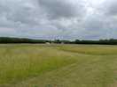 Cared-for field