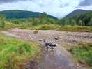 West highland way