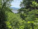 View from forest walk straight from site