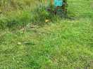 The distance from the caravan to your water and drainage system, our long hoses wouldn’t reach!
