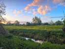 Beautiful area aro