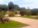 Lemonford caravan park