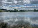 One of the fishing lakes on site.