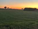 Amazing view of the sunsetting