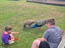 Feeding the peacocks