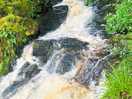Waterfall behind the site