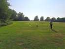 Good ball throwing area