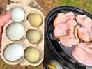 Free range eggs & bacon.