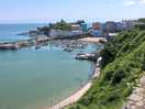 Tenby harbour.