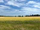 Unadulterated countryside all around