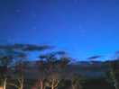 Stars at night