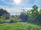 Morning on campsite