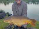 20lbs