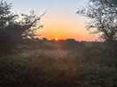 Stunning sunset