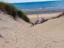 Weg zum strand